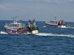 Chalutiers de 12 mètres du Guilvinec illustrant le projet de recherche Cabfishman